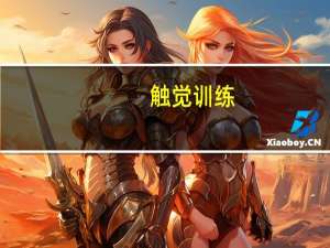 触觉训练（触觉）