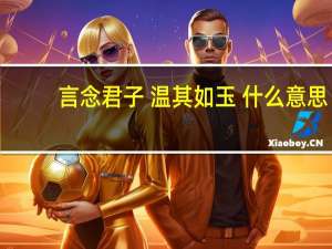 言念君子 温其如玉 什么意思