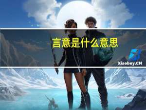 言意是什么意思