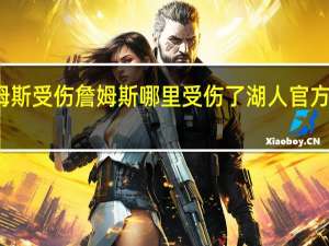 詹姆斯受伤  詹姆斯哪里受伤了湖人官方怎么说的