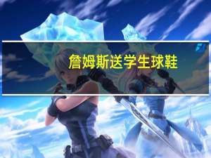 詹姆斯送学生球鞋,詹姆斯送学生球鞋图片