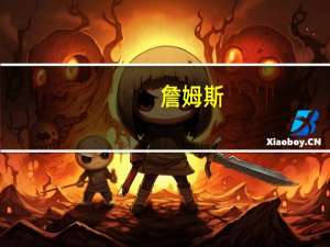 詹姆斯（詹）