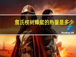 詹氏 桉树蜂蜜的热量是多少