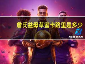 詹氏 益母草蜜卡路里是多少