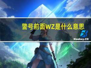 警号前面WZ是什么意思