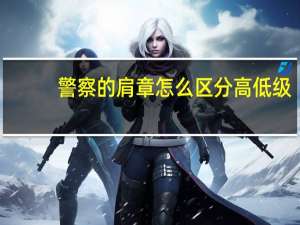 警察的肩章怎么区分高低级