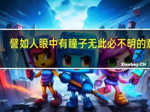 譬如人眼中有瞳子无此必不明的意思