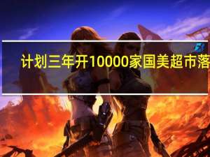 计划三年开10000家 国美超市落地
