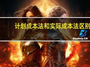 计划成本法和实际成本法区别