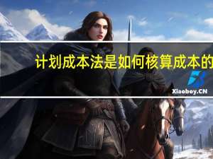计划成本法是如何核算成本的
