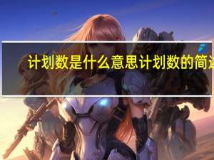 计划数是什么意思计划数的简述