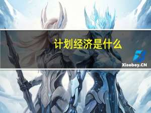 计划经济是什么