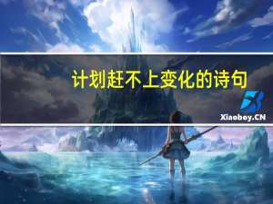 计划赶不上变化的诗句
