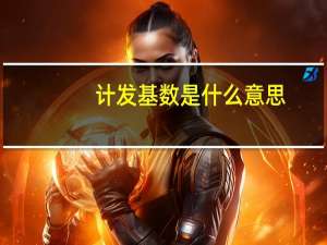 计发基数是什么意思