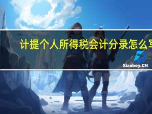 计提个人所得税会计分录怎么写