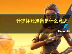 计提坏账准备是什么意思