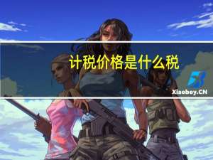 计税价格是什么税