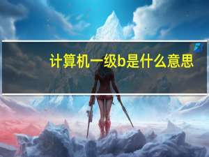 计算机一级b是什么意思
