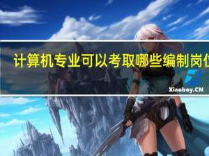计算机专业可以考取哪些编制岗位呢
