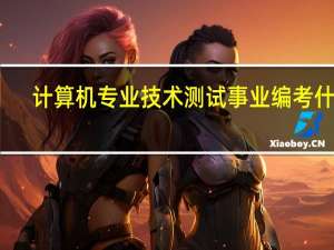 计算机专业技术测试事业编考什么