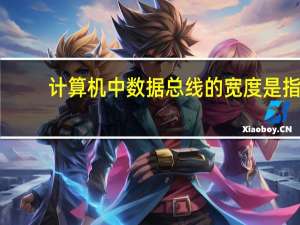 计算机中数据总线的宽度是指