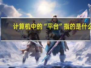 计算机中的“平台”指的是什么