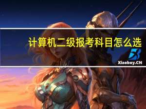 计算机二级报考科目怎么选