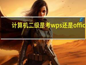 计算机二级是考wps还是office