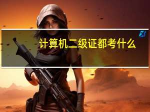 计算机二级证都考什么