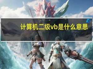 计算机二级vb是什么意思
