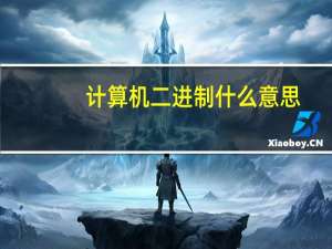 计算机二进制什么意思（计算机采用二进制最主要的理由是）