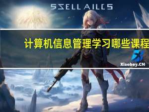 计算机信息管理学习哪些课程