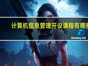 计算机信息管理开设课程有哪些