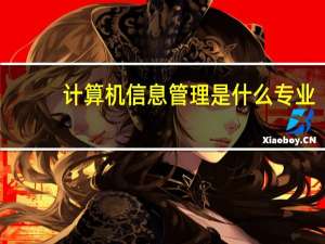 计算机信息管理是什么专业