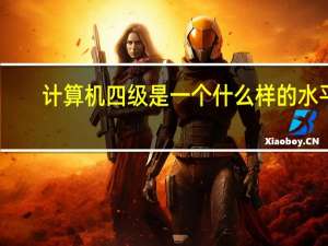 计算机四级是一个什么样的水平