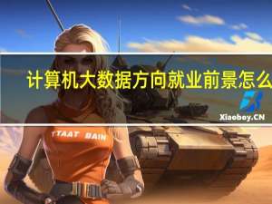 计算机大数据方向就业前景怎么样
