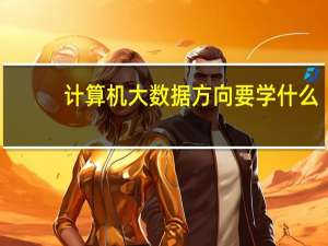 计算机大数据方向要学什么
