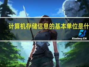 计算机存储信息的基本单位是什么