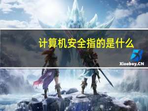 计算机安全指的是什么