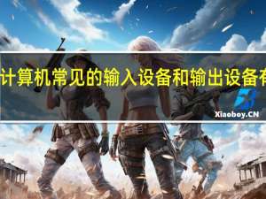 计算机常见的输入设备和输出设备有那些