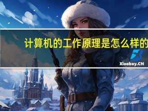 计算机的工作原理是怎么样的（计算机的工作原理）
