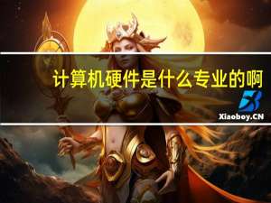 计算机硬件是什么专业的啊