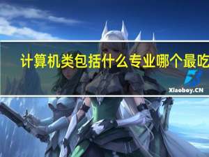 计算机类包括什么专业 哪个最吃香