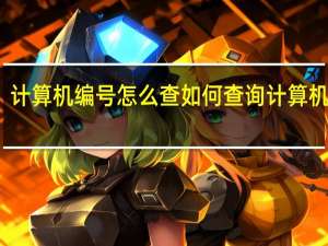 计算机编号怎么查 如何查询计算机编号