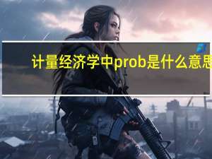 计量经济学中prob是什么意思