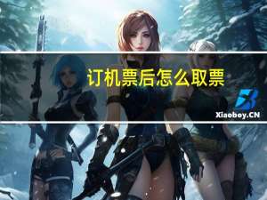 订机票后怎么取票