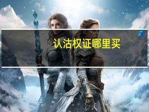 认沽权证哪里买（什么是认沽权证）