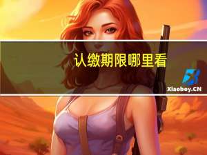 认缴期限哪里看