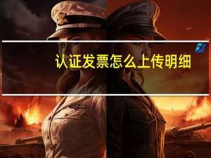 认证发票怎么上传明细
