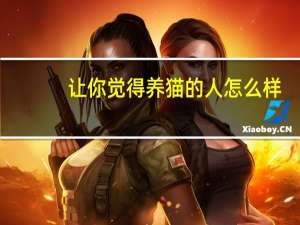 让你觉得养猫的人怎么样